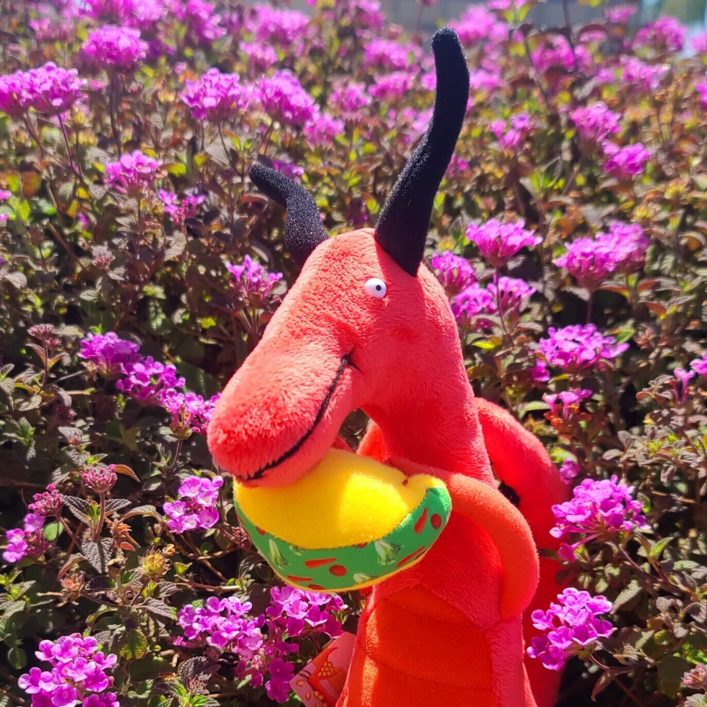 Martin First Photos 2 scaled e1747519601731 - How We Got Martin (And How He Got His Name)