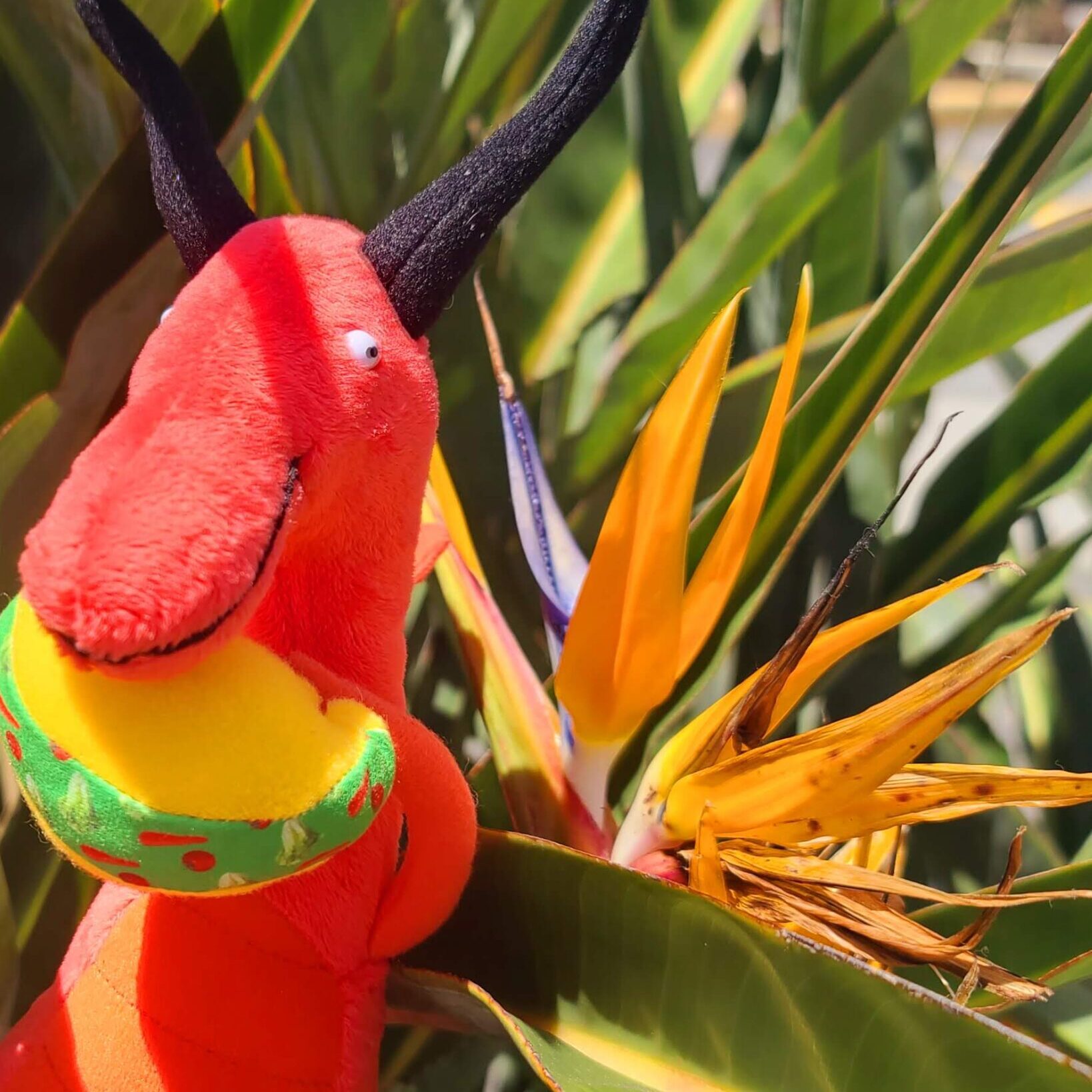 Martin First Photos 3 scaled e1747519552517 - How We Got Martin (And How He Got His Name)