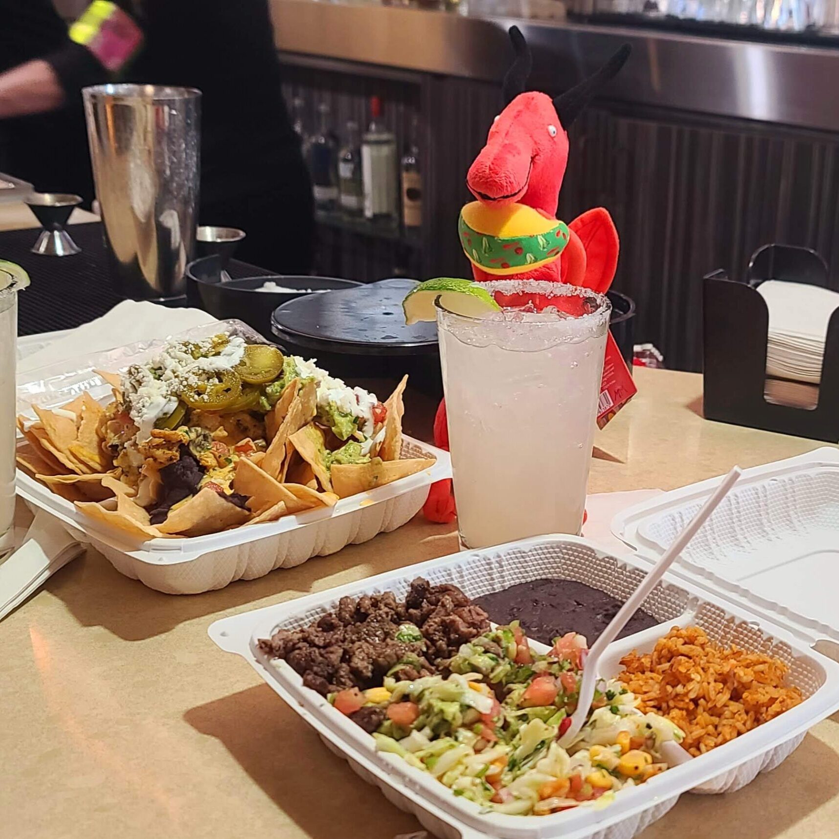 Martin First Photos 4 scaled e1747519493537 - How We Got Martin (And How He Got His Name)