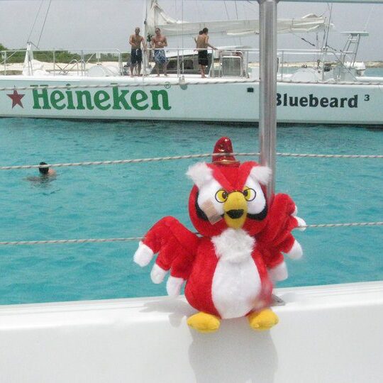 Owlie 2 e1747520073892 - How We Got Martin (And How He Got His Name)