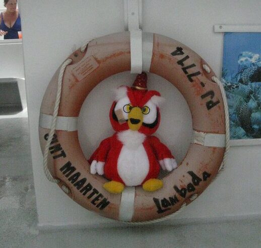 Owlie 4 e1747520028705 - How We Got Martin (And How He Got His Name)