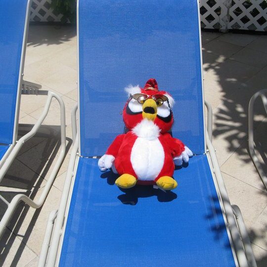 Owlie 5 e1747519966879 - How We Got Martin (And How He Got His Name)