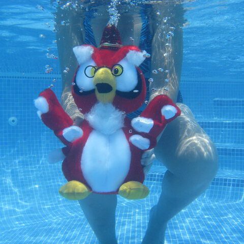 Owlie 7 e1747519878326 - How We Got Martin (And How He Got His Name)