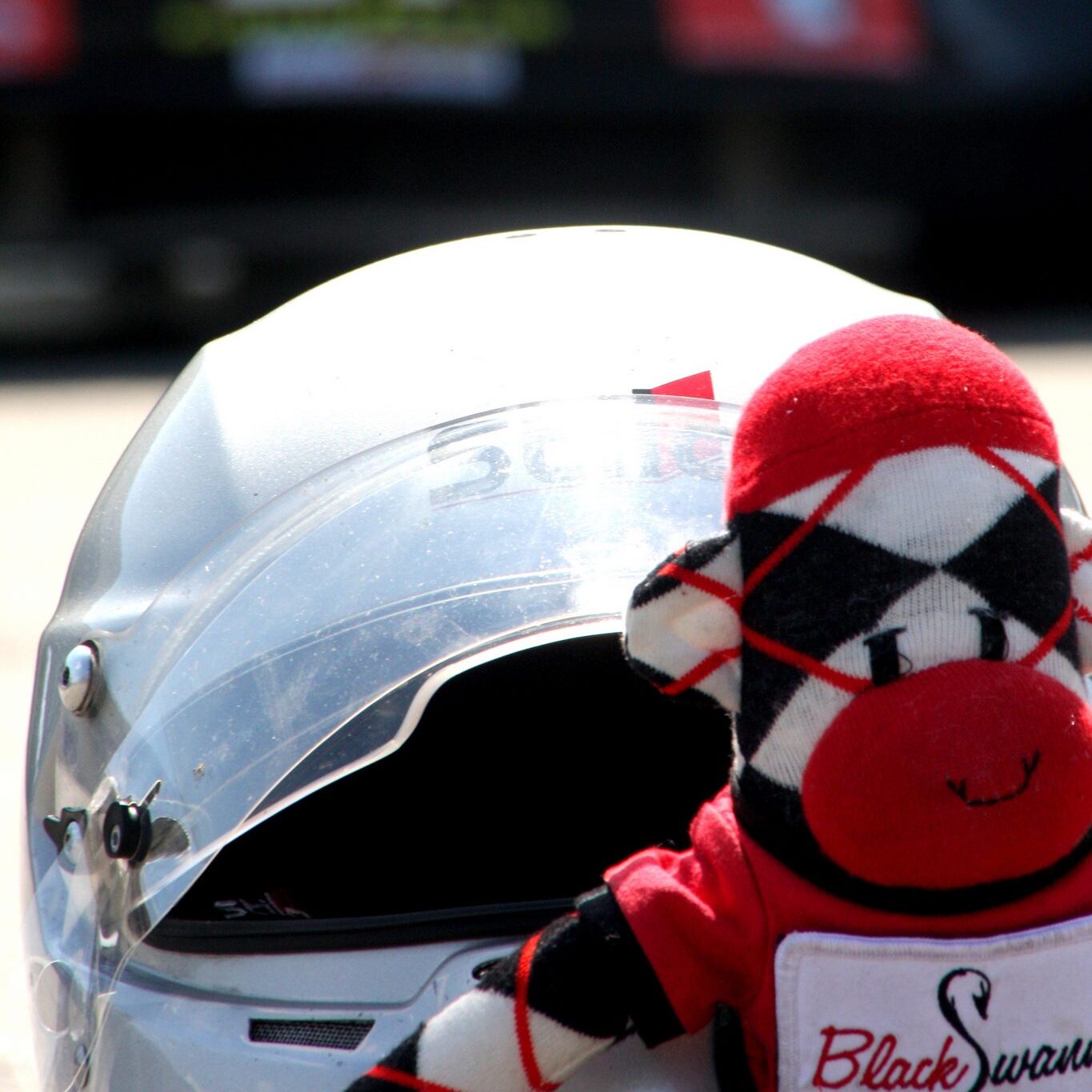 Travel Monkey 7 e1747519769973 - How We Got Martin (And How He Got His Name)